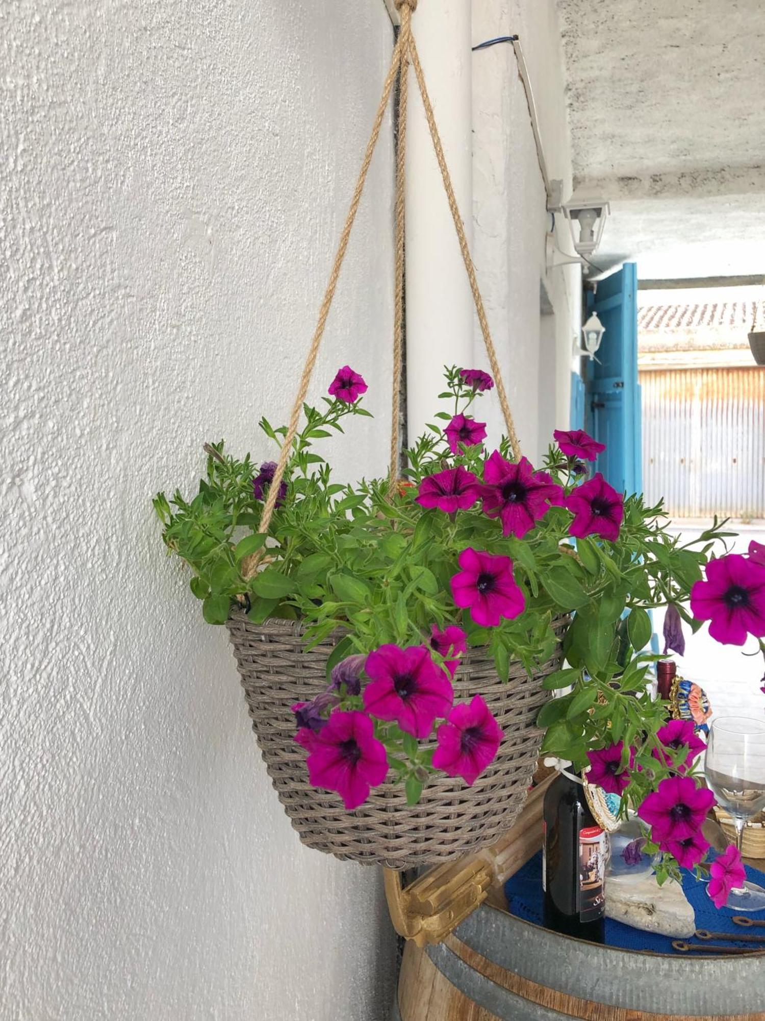 Bnb Le Janas Càbras Dış mekan fotoğraf